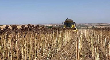 Hayrabolu'da ayçiçeği tarlalarında hasat zamanı