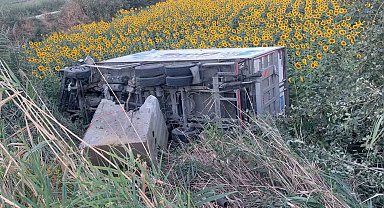 Kamyonet ayçiçeği tarlasına uçtu