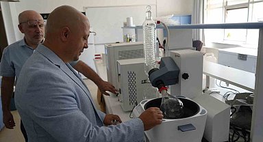 Kastamonu ormanlarında yetişen mantarlar ciltleri güneşten koruyacak