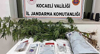 Kocaeli'de 1 kilo esrar ele geçirildi