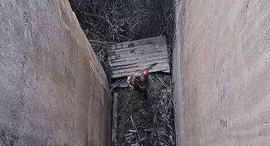 Koruma altındaki dağ keçisi için özel kurtarma operasyonu