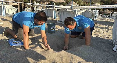 Kumsalda başlayan umut yolculuğu denizde tamamlandı: "62 caretta caretta yavrusu mavi sulara ulaştı"
