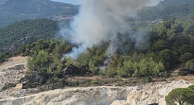 Milas'ta orman yangını