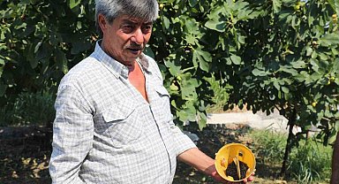 Muğla'da üreticinin emeğine çevre dostu koruma