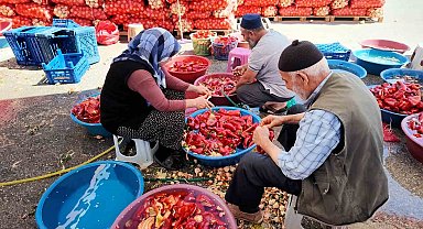 Niğde'de kışlık salça mesaisi başladı