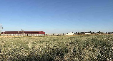Odunpazarı'nda tarım arazisinde mühimmat bulundu: Kontrollü şekilde imha edilecek