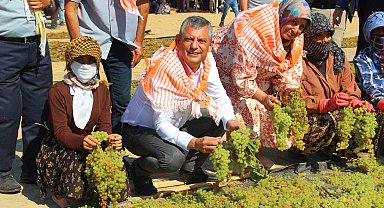 Özgür Özel, Manisa'da üzüm kurutma alanında üreticilerle buluştu