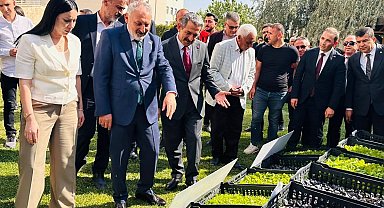 Şırnak'ta üreticilere 152 bin sebze fidesi ve çoban çantası dağıtıldı