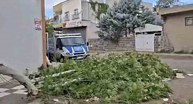 Siverek'te etkili olan fırtına, tarlada çalışan işçilere zor anlar yaşattı