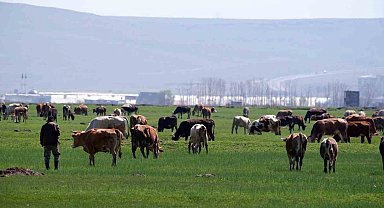 Tarımda üreticilere destekleme çağrısı