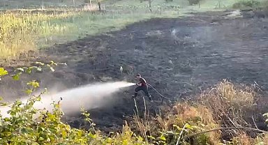 Tarlada yakılan ateş otluk alana sıçradı: 4 dönüm alan zarar gördü