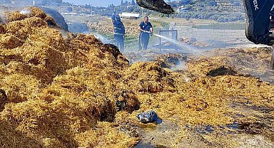 Tarsus'ta saman balyalarının olduğu alanda yangın