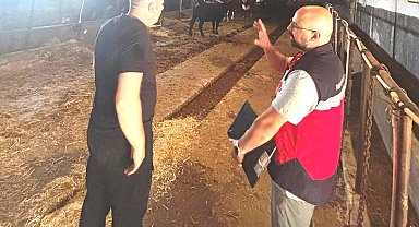 Tavşanlı'da Destek Projesi kapsamındaki ithal hayvanlar kontrolden geçirildi