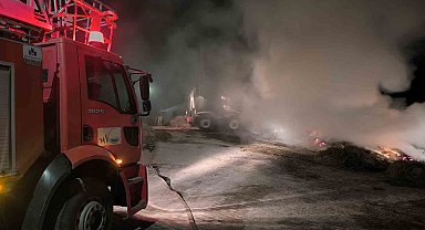 Van'da 2 bin 500 bağ ot yandı