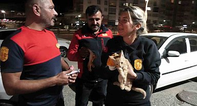 Yozgat'ta aracın motorunda mahsur kalan yavru kediyi itfaiye kurtardı