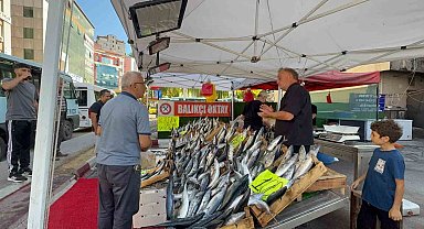 Zonguldak'ta palamut sezonu 100 liradan başladı
