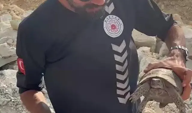 Yangın bölgesinde canlıların tahliyesi için seferber oldular