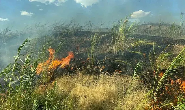 Şırnak'taki örtü ve orman yangını söndürüldü