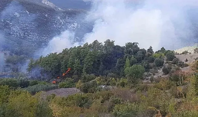 Kumluca'da orman yangınında alevlerin sıçradığı ev kullanılamaz hale geldi