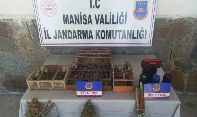 Manisa'da saka avlayan 4 şahıs suçüstü yakalandı: 229 bin TL ceza