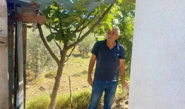 10 yıldır beslediği cins tavuklarını çaldıktan sonra kesip sattılar
