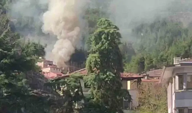 Amasya'da ormana bitişik 3 ev yangında kül oldu