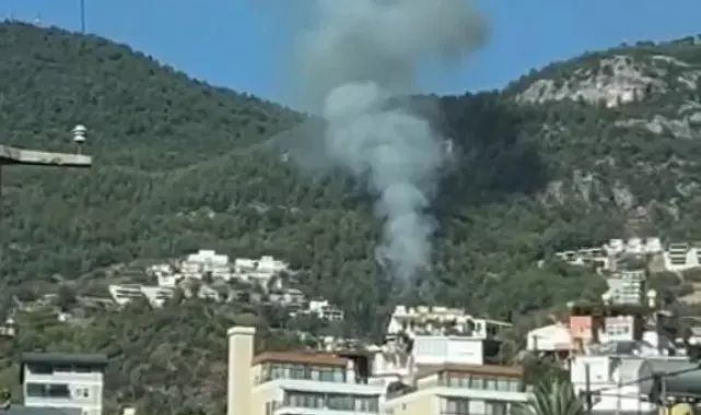 Alanya'da orman yangını