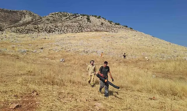 Diyarbakır'da yaklaşık 400 dönüm alanı küle çeviren yangın kontrol altına alındı
