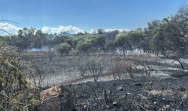 Manavgat'ta boğaz mendirek yolunda korkutan yangın