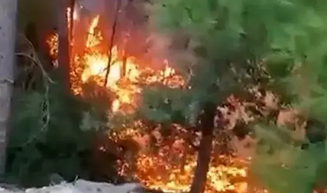 Alanya'da yıldırımın düşmesiyle yangın çıktı: 1 dönüm alan zarar gördü