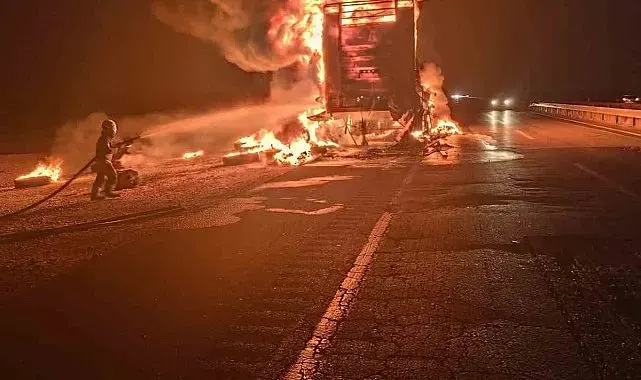 Mardin'de lastik yüklü tırda çıkan yangın söndürüldü