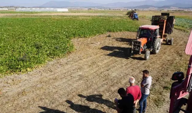 Burdur'da şeker pancarı hasadında yüksek rekolte beklentisi