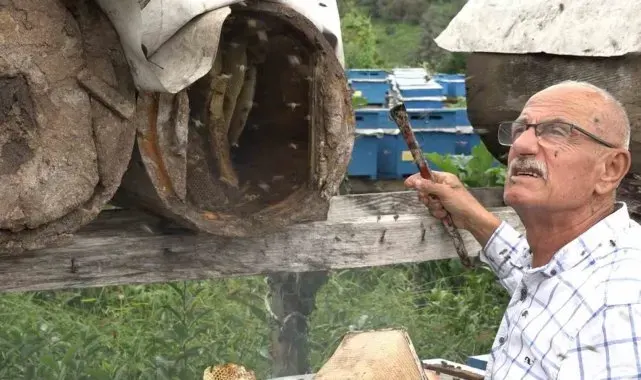 Rize'de karakovan balının hasadı tamamlandı, fiyatı belirlendi