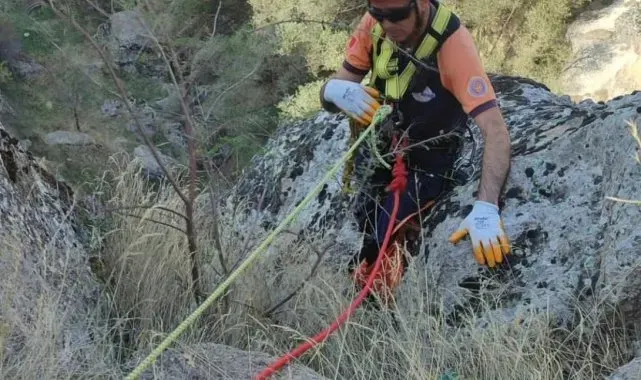 5 gündür kayalıklarda mahsur kalan keçi AFAD ekiplerince kurtarıldı