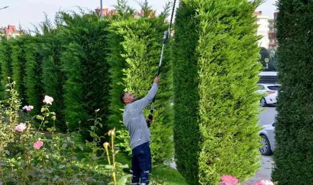 Meram'ın park ve bahçelerine kış bakımı