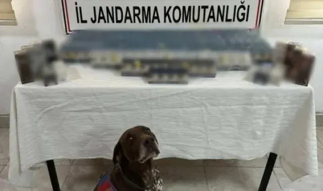 Ağrı'da kaçakçılık operasyonu
