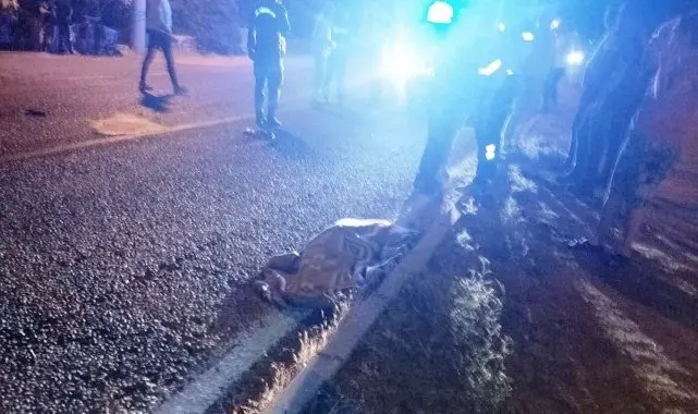 Milas'ta trafik kazası: 1 ölü