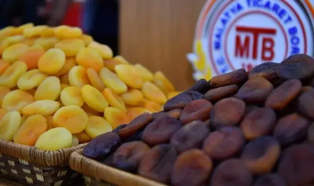 Kuru kayısı ihracatta yüz güldürmeye devam ediyor