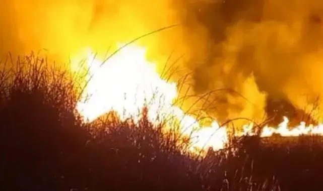 Yüksekova'da kuş cenneti alev alev yandı