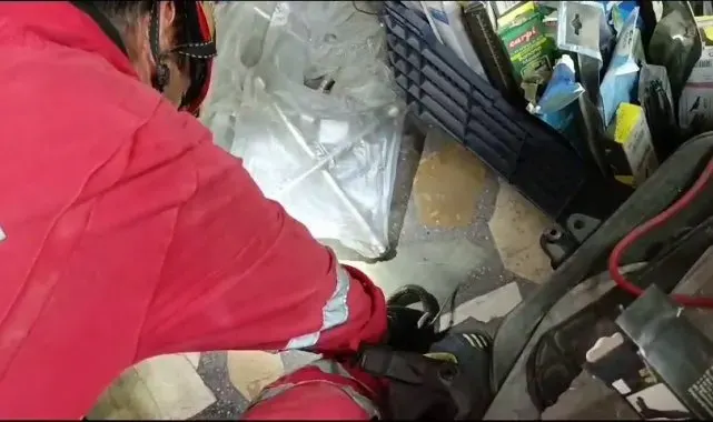 İş yerine giren yılanı itfaiye yakaladı