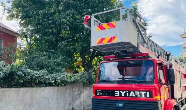 Silkelemek için çıktığı ceviz ağacında mahsur kaldı