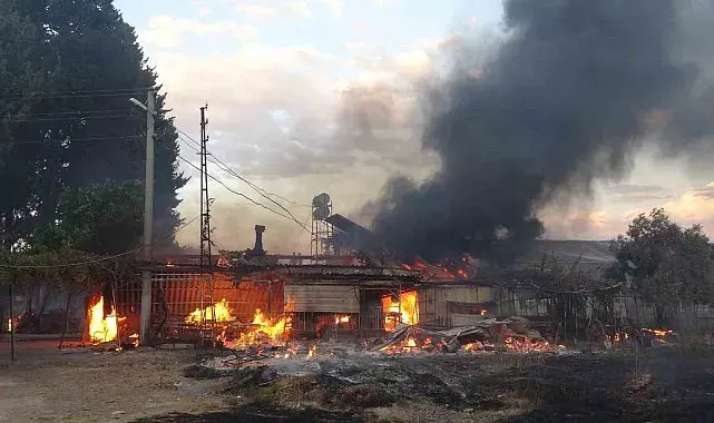 Ağaçlık alanda çıkan yangın mahalleyi sardı: Evinin yanışını yaşlı gözlerle izledi