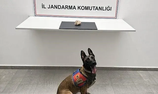 Şanlıurfa'da uyuşturucu operasyonu: 1 tutuklama