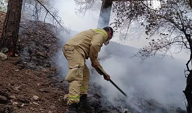 Kahramanmaraş Ahır Dağı'ndaki orman yangınına müdahale sürüyor