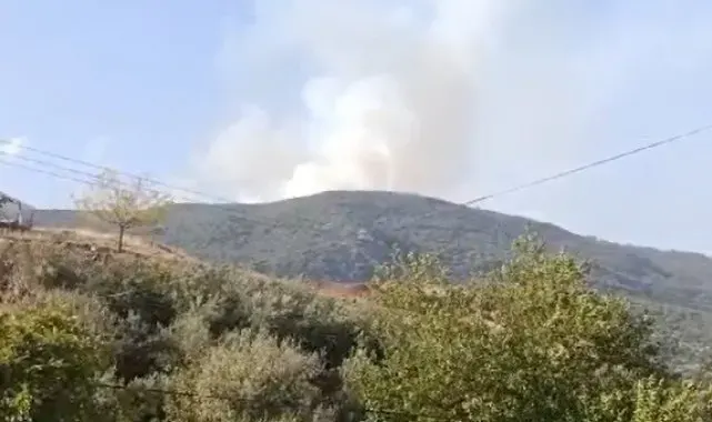 Gaziantep'te orman yangını