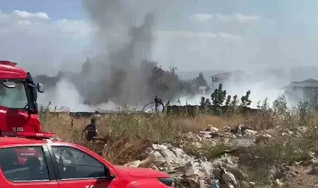 Zeytinlik alanda çıkan yangın korkuttu