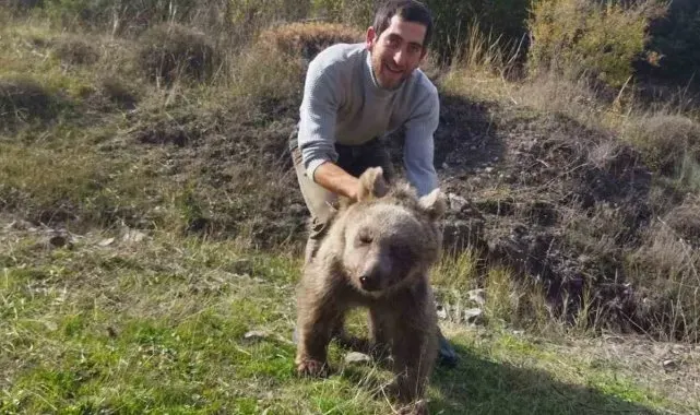 Erzurum Oltu'da yaralı yavru ayı kurtarıldı