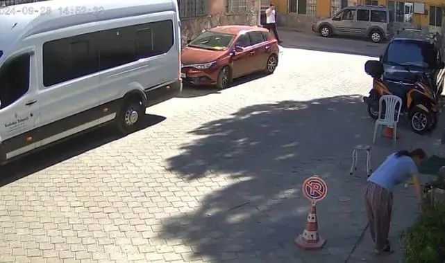 Gözüne kestirdiği çiçeği kökleriyle götürdü