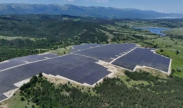 Ladik GES'te agrivoltaik tarımda hasat zamanı