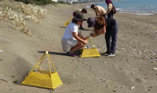 Çıkışlar tamamlandı, son yavrular denizle buluştu